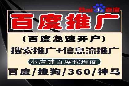 百度推广运营成功故事：品牌与效果的双重胜利
